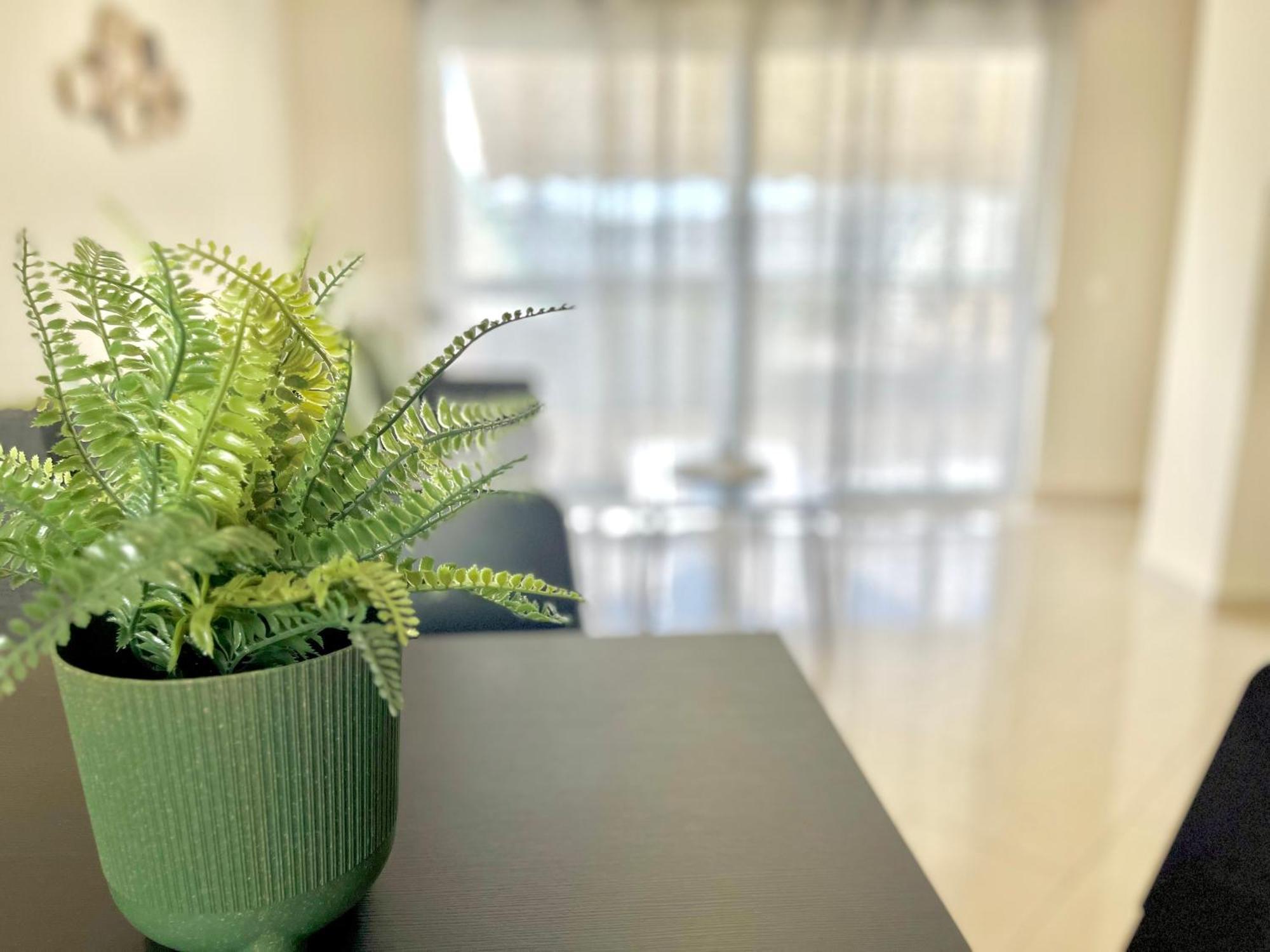 Elvita Apartments 2 เอเธนส์ ภายนอก รูปภาพ
