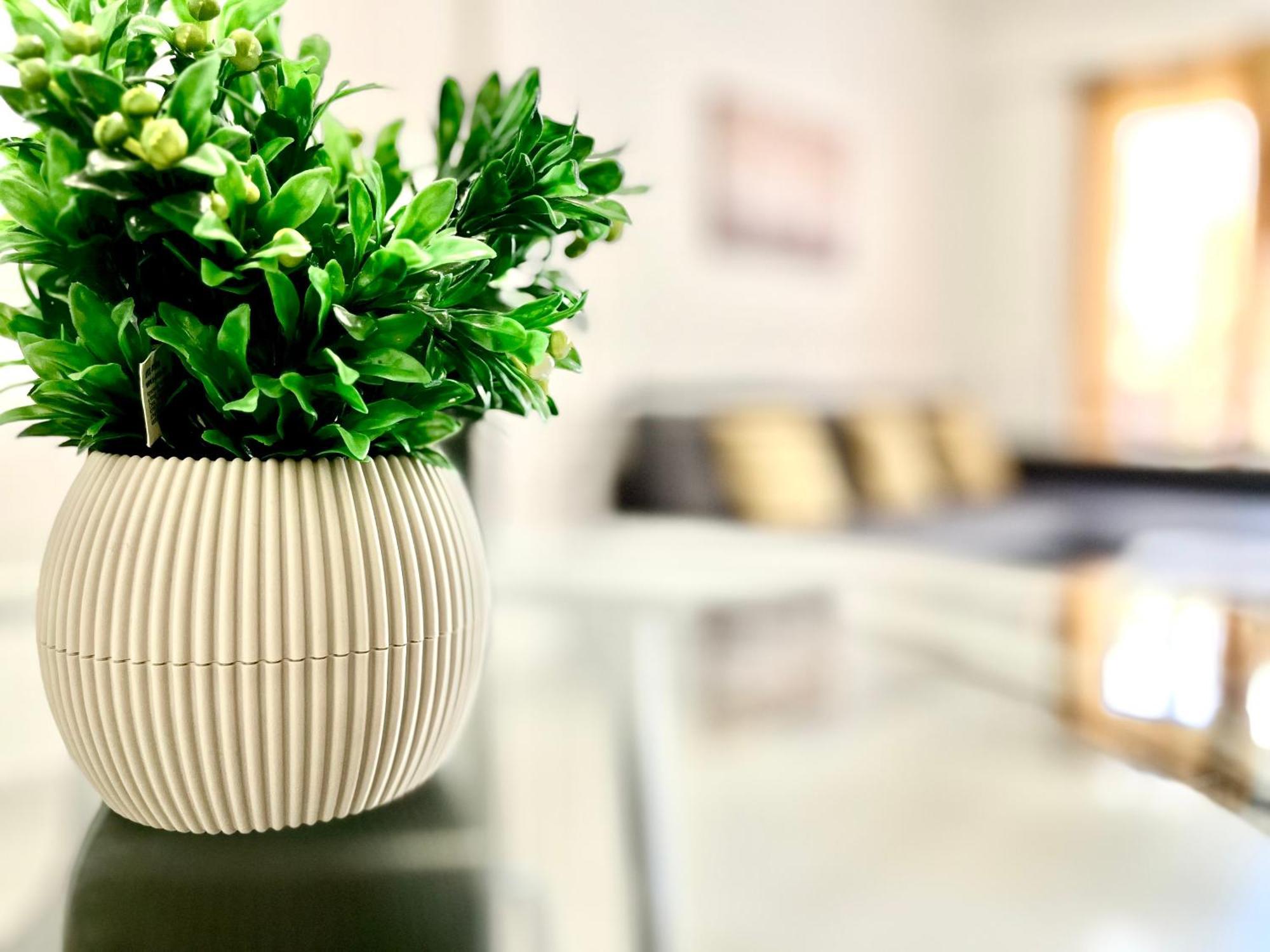 Elvita Apartments 2 เอเธนส์ ภายนอก รูปภาพ
